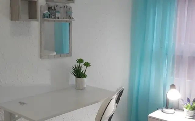 Comfortable single room 1