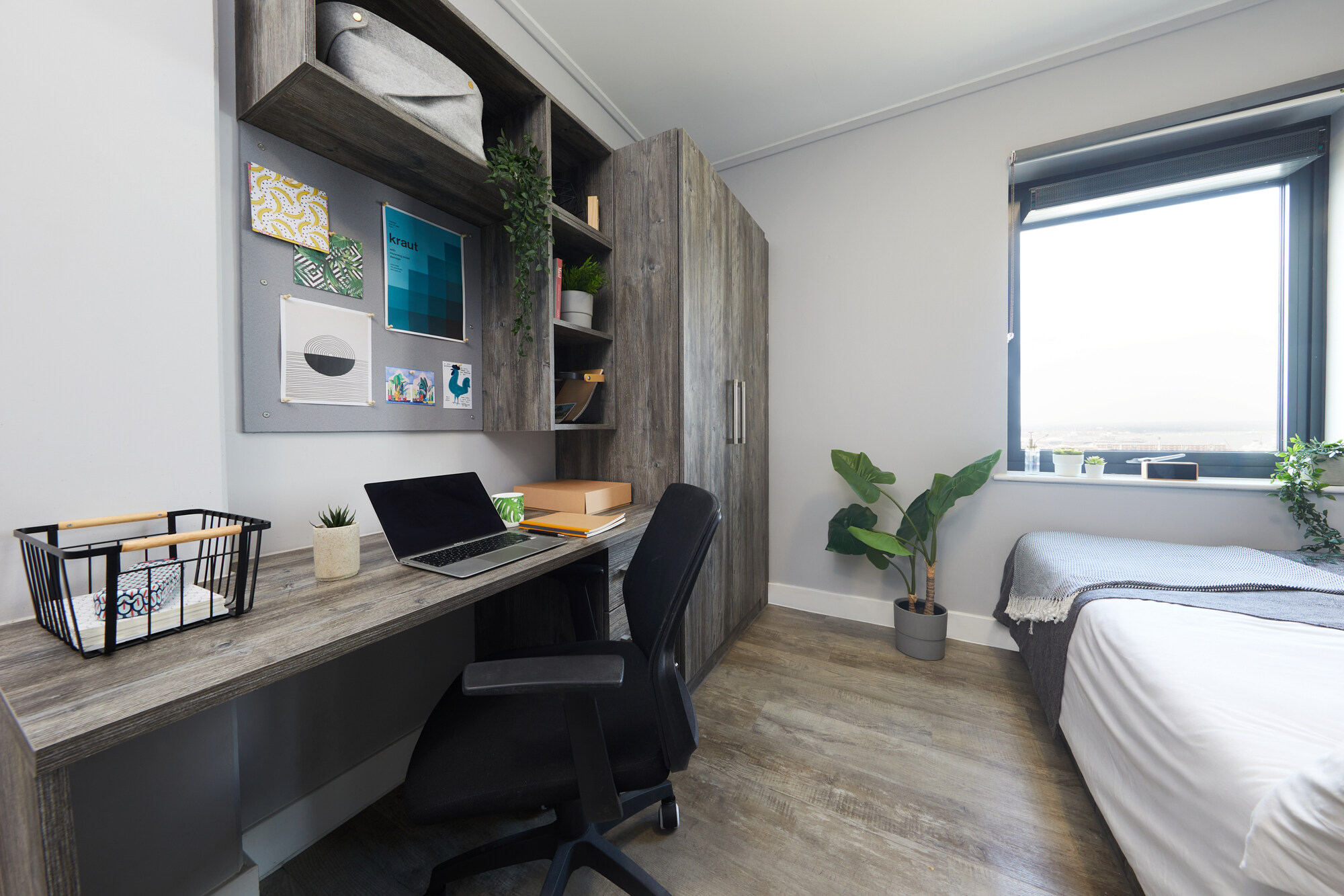 penthouse Plus Studio