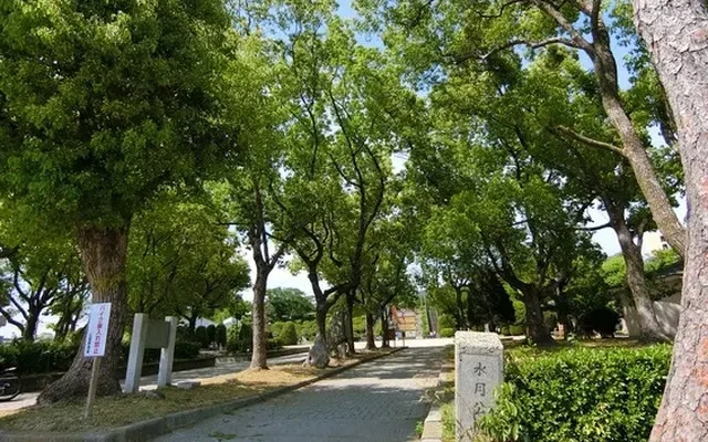Cresel Stone Bridge 4
