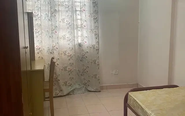 Evergreen Acorn & Hazel 0