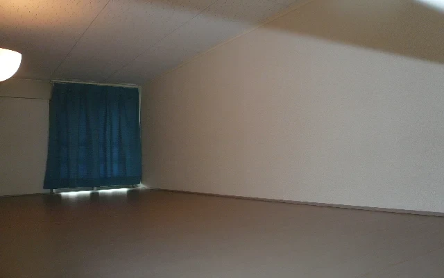 レオパレス花水木 1