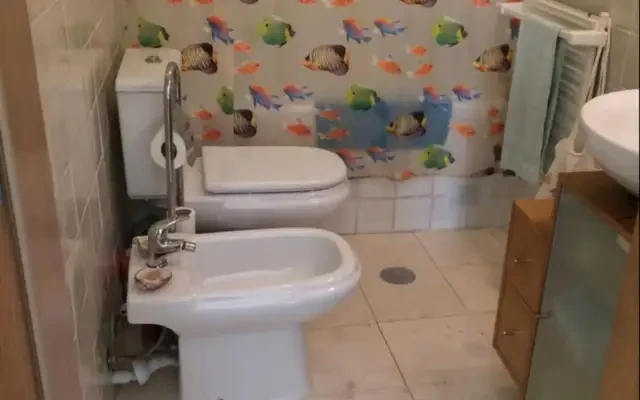 apartment near Rua Dr. Calado - Figueira da Foz student accommodation