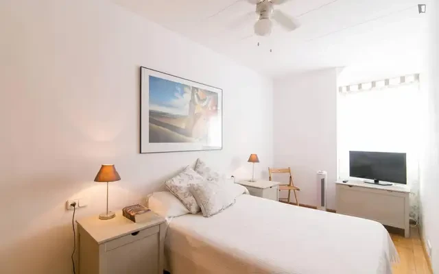Lovely 2-bedroom flat in vibrant El Raval 1