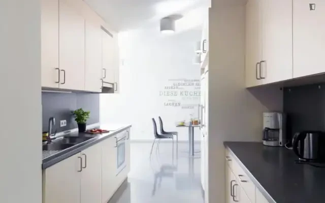 residence near Dückegasse - ウィーンの学生向け宿泊施設