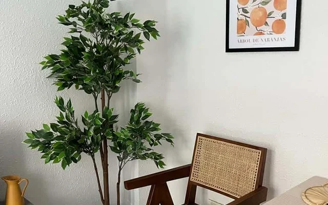 Apartment in Carrer de Vilafermosa, Valencia for 54 m² with 2 bedrooms 1