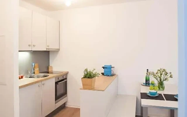 Penthouse Apartment 2