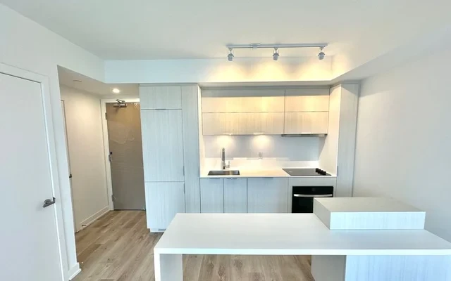 1108 - 370 Martha St 1