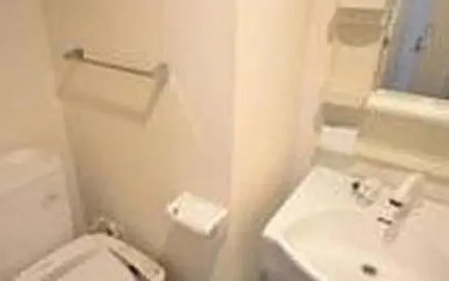 Dolce Bunkyo Koishikawa 402 1