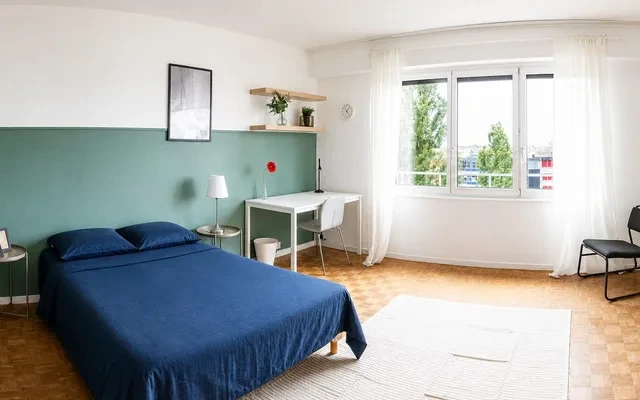 Le 18 Juin - Strasbourg student accommodation - 4BR/1BA -Le 18 Juin