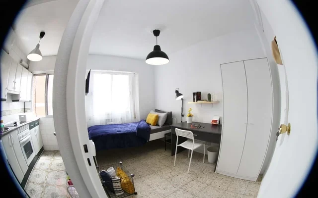 CAM229 2