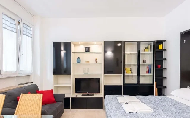 Accogliente Loft in Zona Monumentale/Cenisio 1