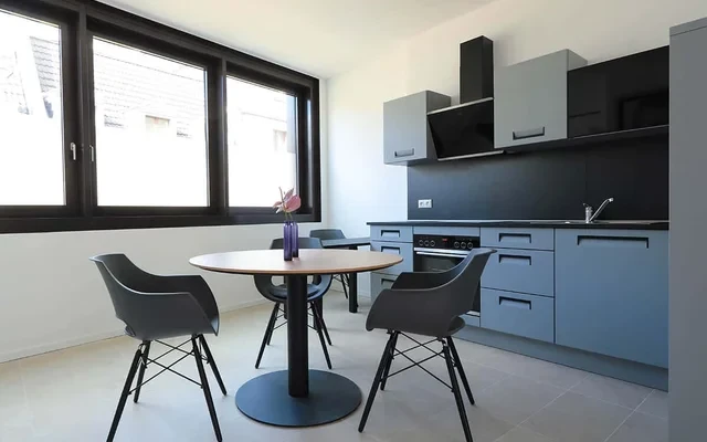 iONE- Cosy Apartment in the center of Bonn 4