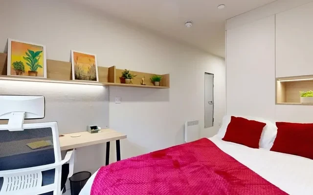 Norton's Student Living 4