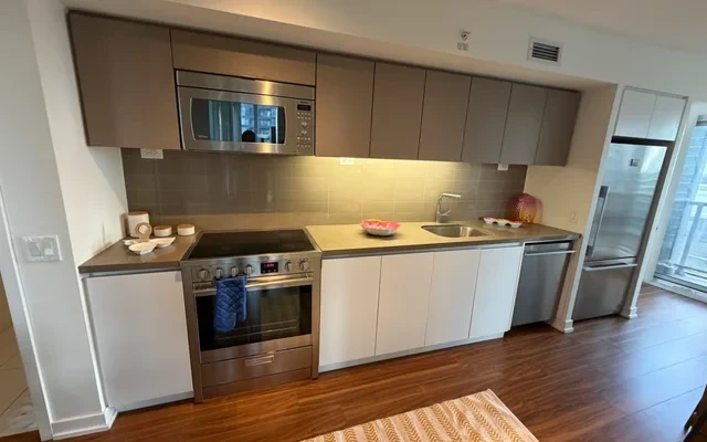 Sky Residence - Queens Wharf Rd & Fort York Blvd 0