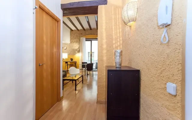Ample and modern studio in Barri Gotic 0