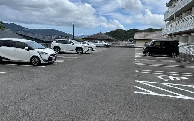 Leonext Tristar-N W 0