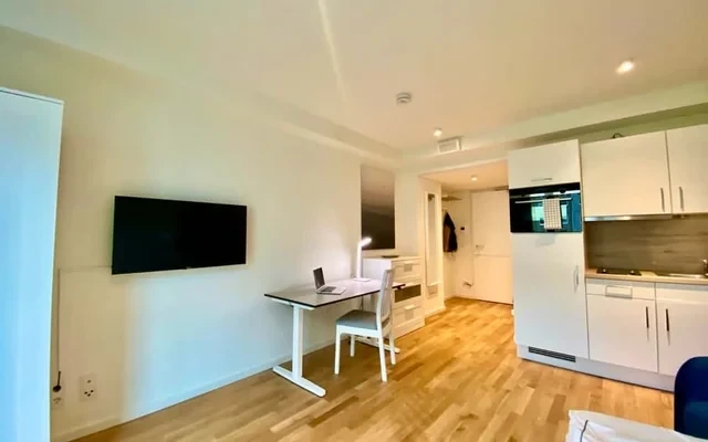 Kolya - Praktisches Mikro Apartment in Mitte 3