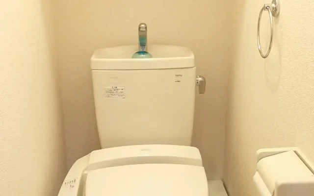 Leopalace Court Doll 2