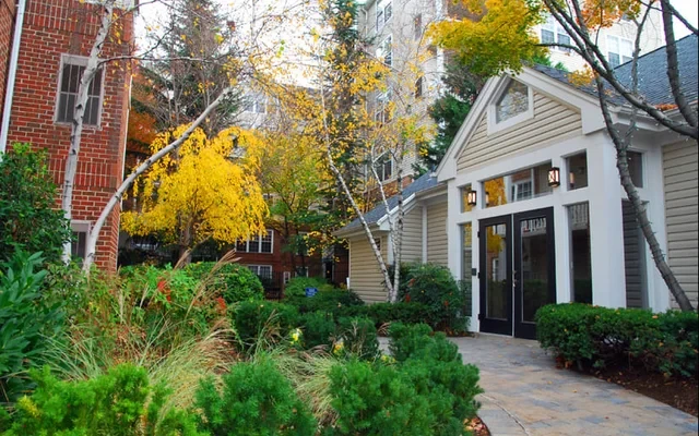 Rosslyn Heights 3