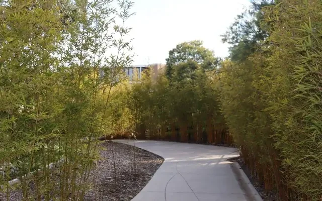 La Trobe University - Units 2