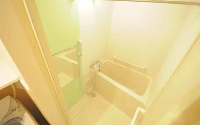 レオネクスト miyabi-kai ii 1