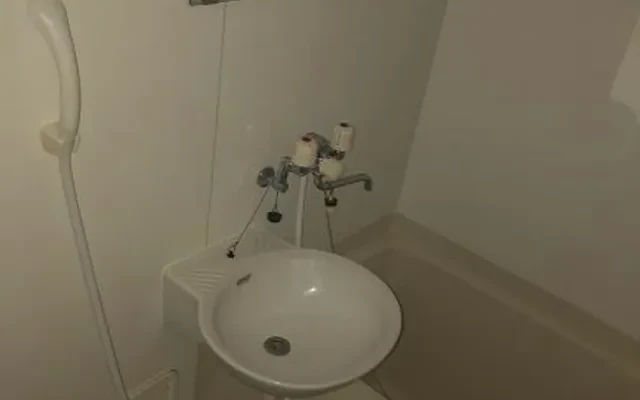 Leopalace Sunflower 1