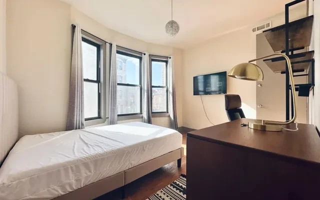 705 Saint Marks Avenue, New York 4