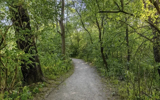 River Birch at Watertown - Watertown student accommodation