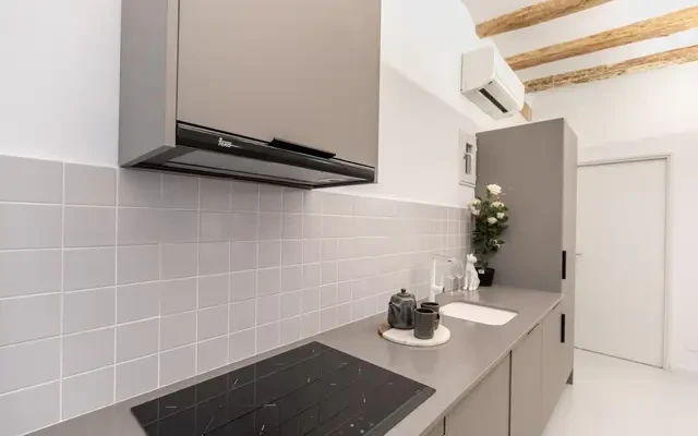 studio in Sant Pere, Santa Caterina i la Ribiera (Ciutat Vella) 0