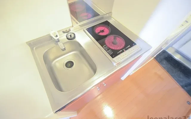 Leopalace Plaisir Kami-Kumamoto 1