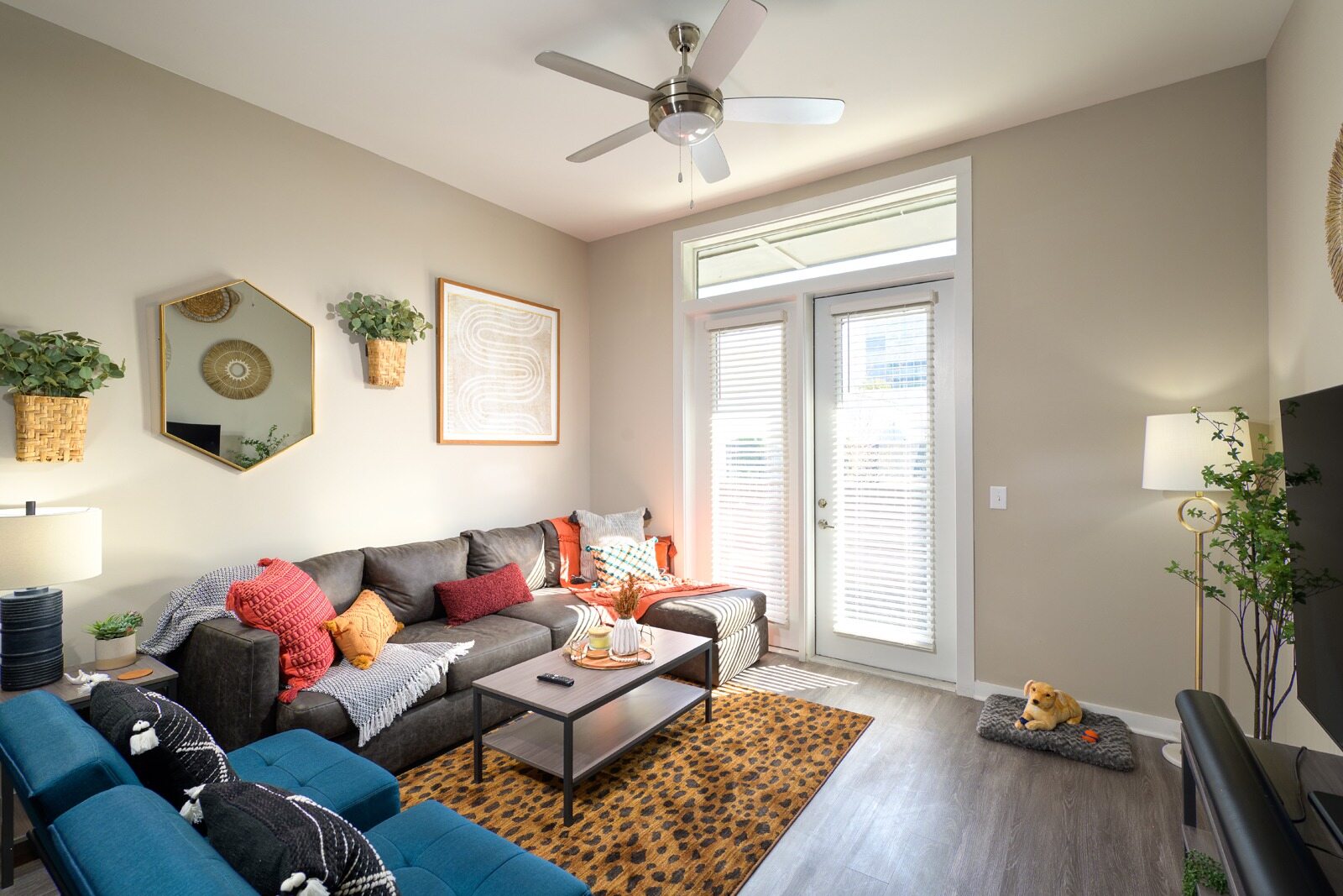 3 Bedroom / 3 Bathroom