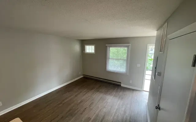 311 W Birch Street, Apt 4, Champaign, IL 61820 3
