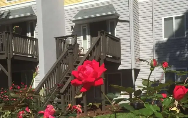 The Villages of Chapel Hill 1