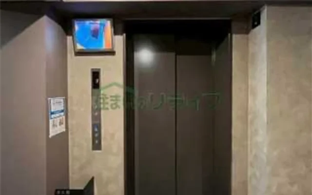 Rumiek Waseda 203 1
