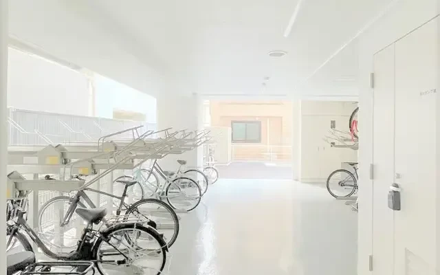 French Air Machida 2