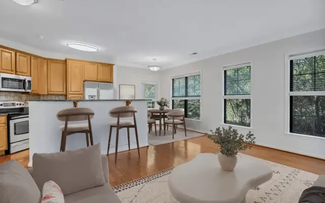 The Cosmopolitan at Lorton Station 1