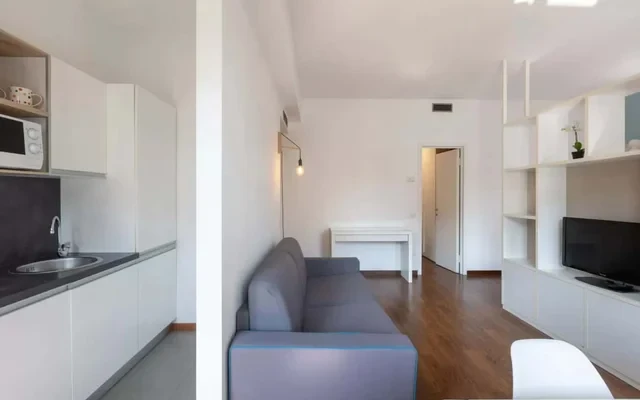 Ampio monolocale Dateo 4