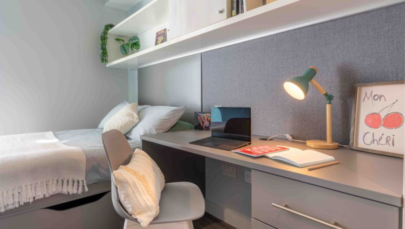 Bronze Studio Premium