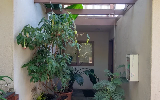 12 Panoramic 4