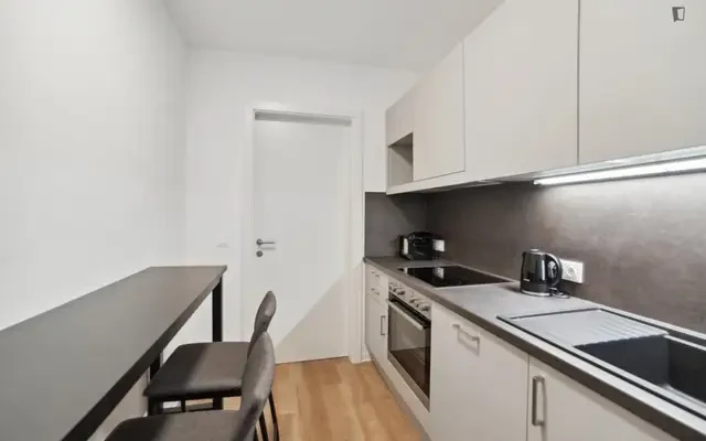 apartment near Waagner-Biro Straße 128-130 - ที่พักนักศึกษาในกราซ