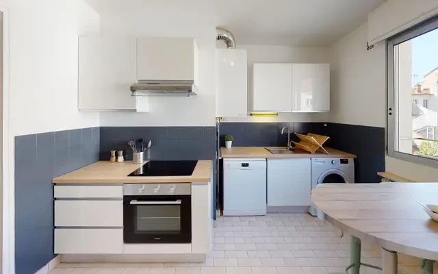 13 Rue Salomon Reinach, 69007 1