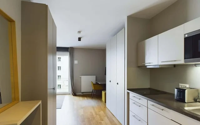 Fully-furnished studio apartment in Koepenick 0