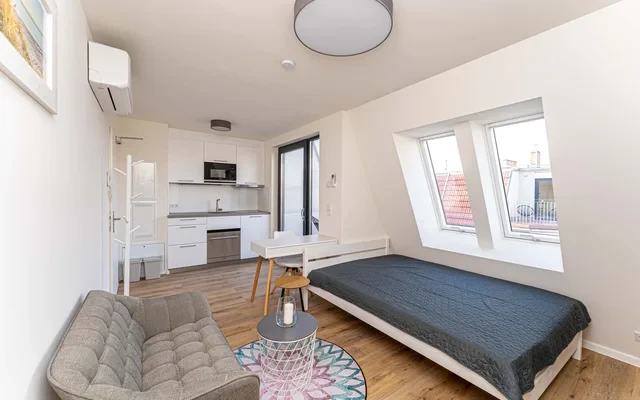 One room apartment 0