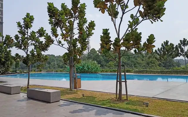 Sensory Residence, Condominium 2