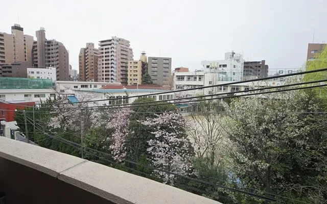 ラティールコイシカワ 3