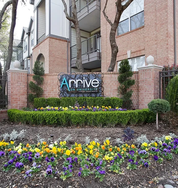 Arrive on University