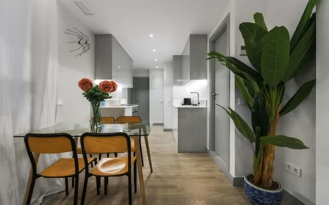 3 bedrooms 2 bathrooms furnished - Salamanca - elegant 2