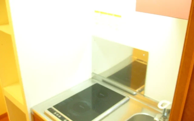 レオパレスさくら 3