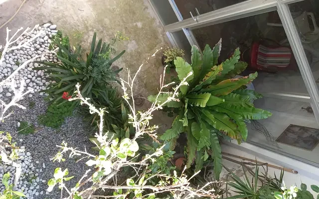 apartment near Carrer Flos i Calcat 2