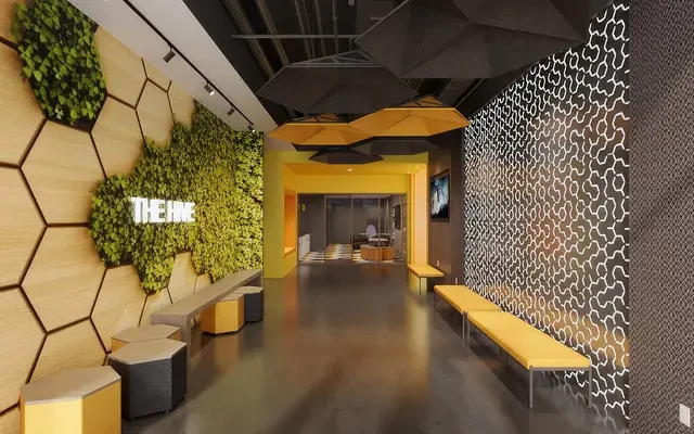 The Hive 4